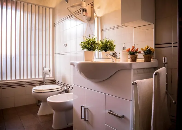 Dafne A1 - Myho Casa * マルティンシクーロ