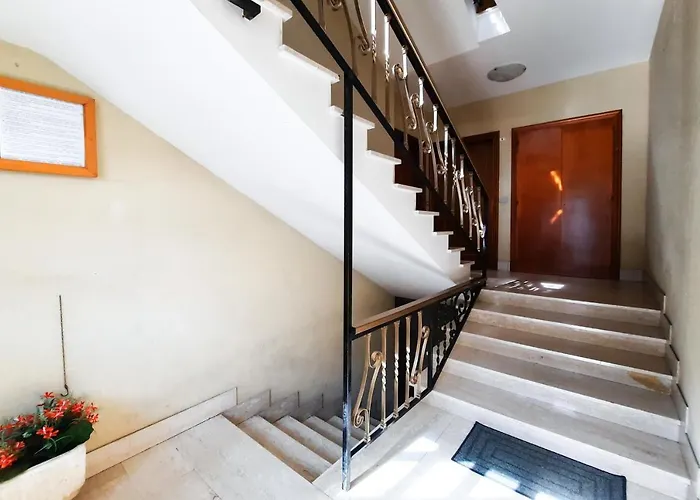 Dafne A1 - Myho Casa マルティンシクーロ